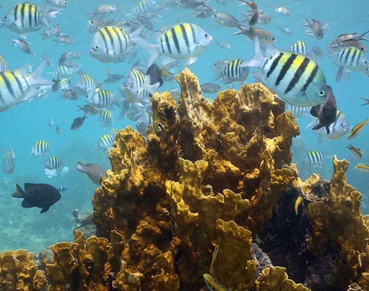 Behind the scenes of the photoshoot for the cover of Living Barbados