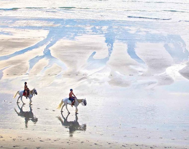 Horseback riding brazil on the beach