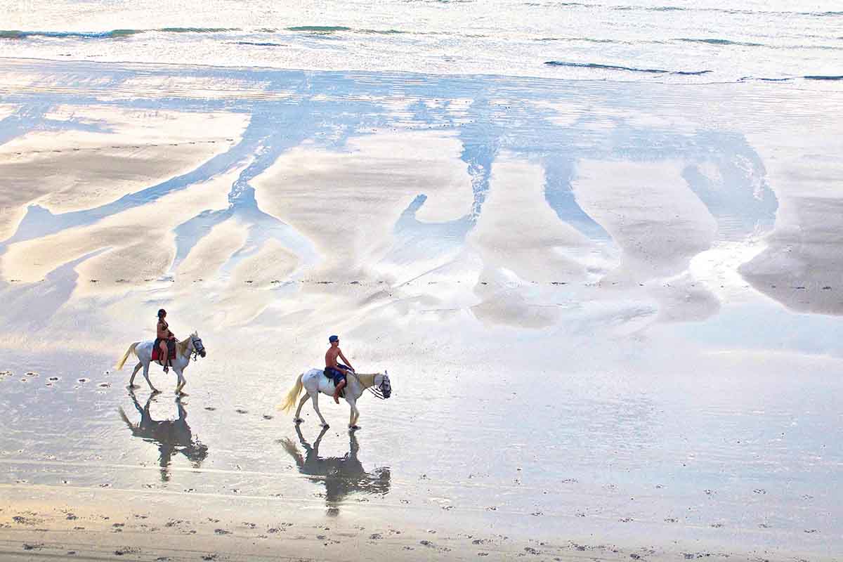 Horseback riding brazil on the beach