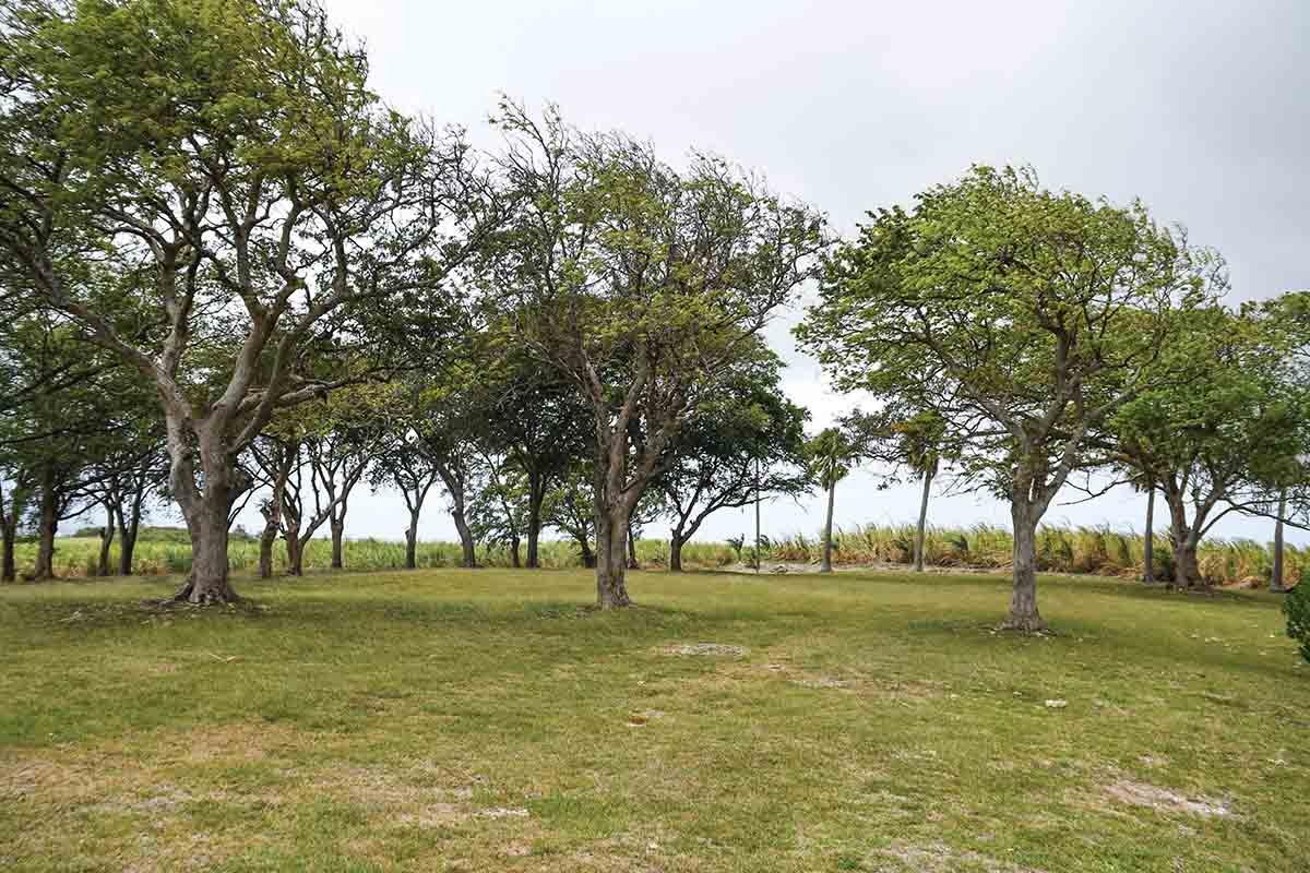 The Mountgay Rum distillery