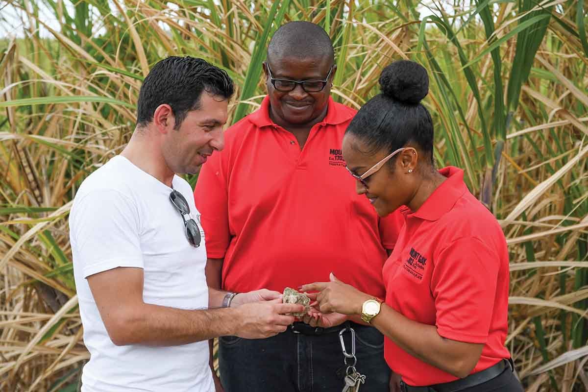 Mount Gay Rum distillery in St. Lucy Barbados