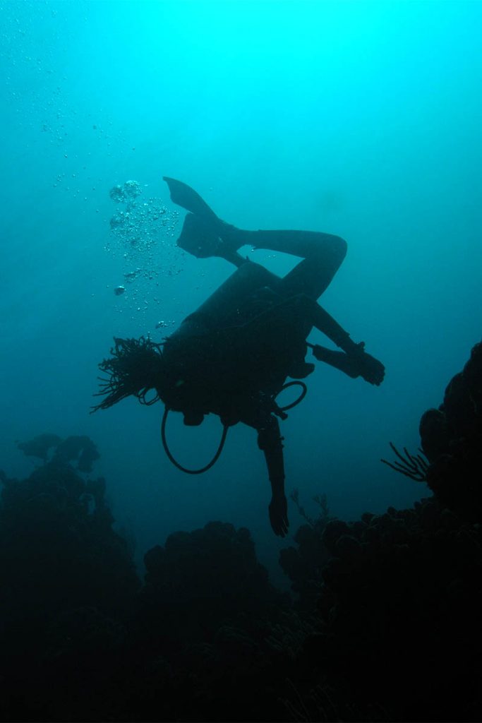 Marine Biologist Angelique