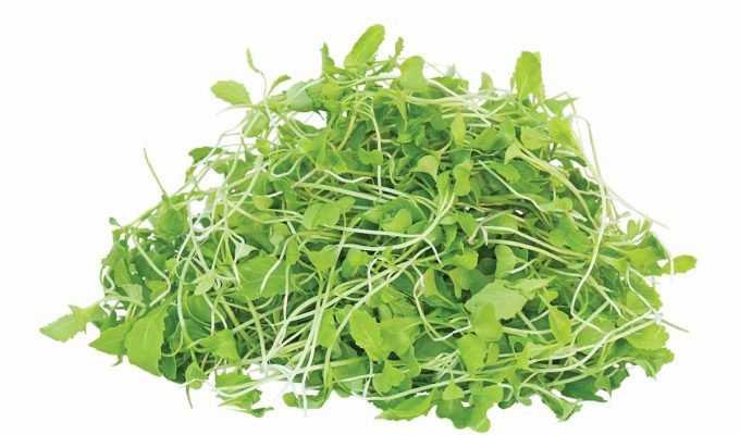 Pile of young mustard green plants
