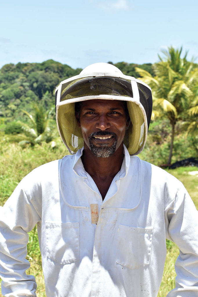 Beekeeping in Barbados