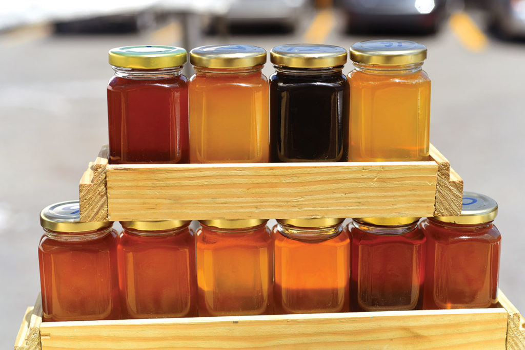 Beekeeping in Barbados