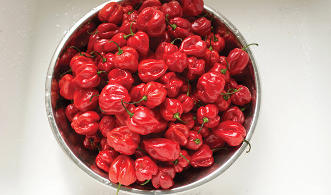 Bowl of hot peppers for Old Duppy pepper sauces