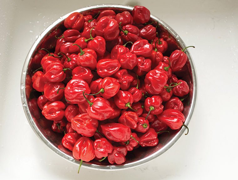 Bowl of hot peppers for Old Duppy pepper sauces