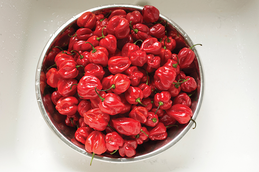 Bowl of hot peppers