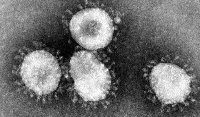 Coronavirus