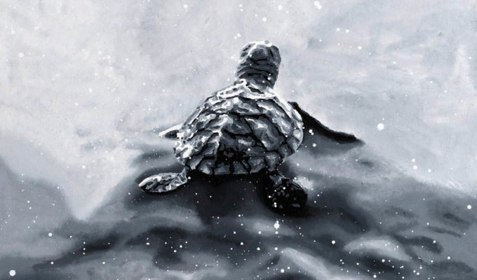 Baby turtle painting by Jeena Chatrani