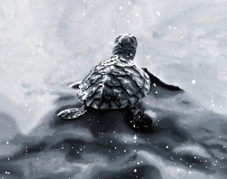 Baby turtle painting by Jeena Chatrani