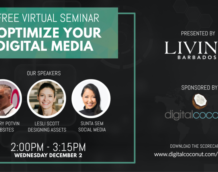 Digital Seminar with Digital Coconut