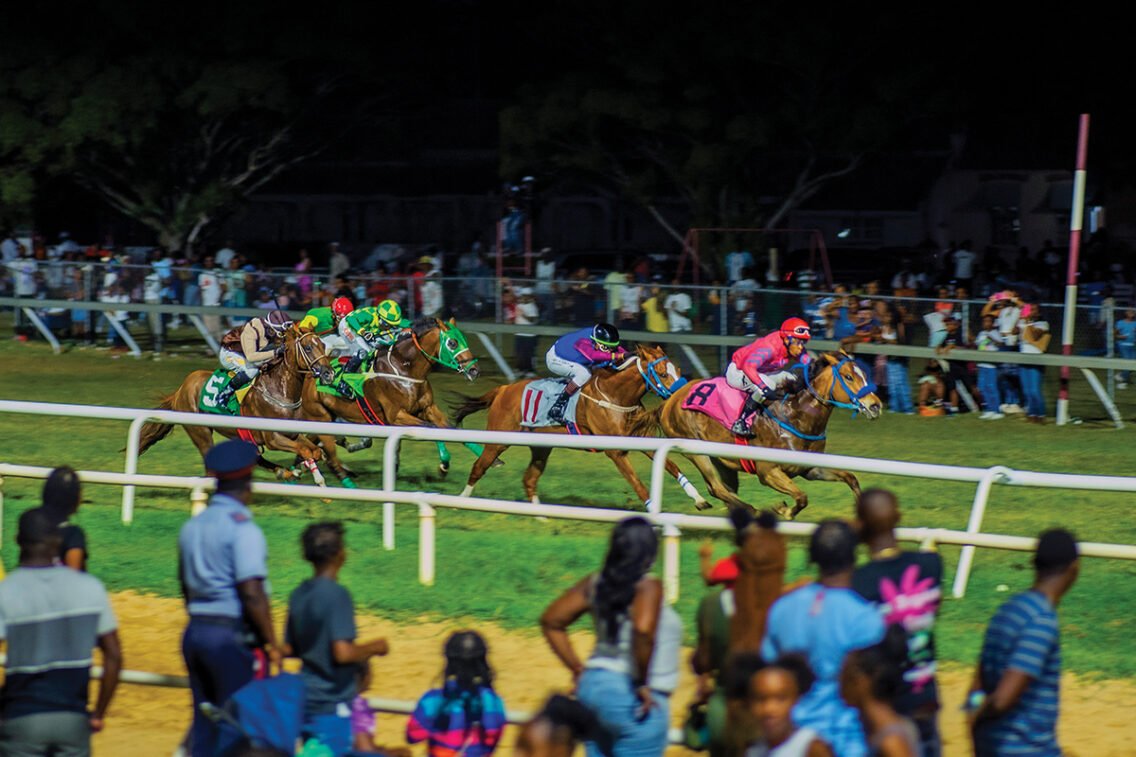 The Gold Cup Village