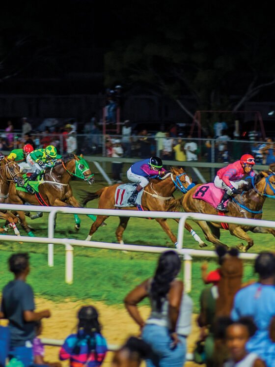 The Gold Cup Village