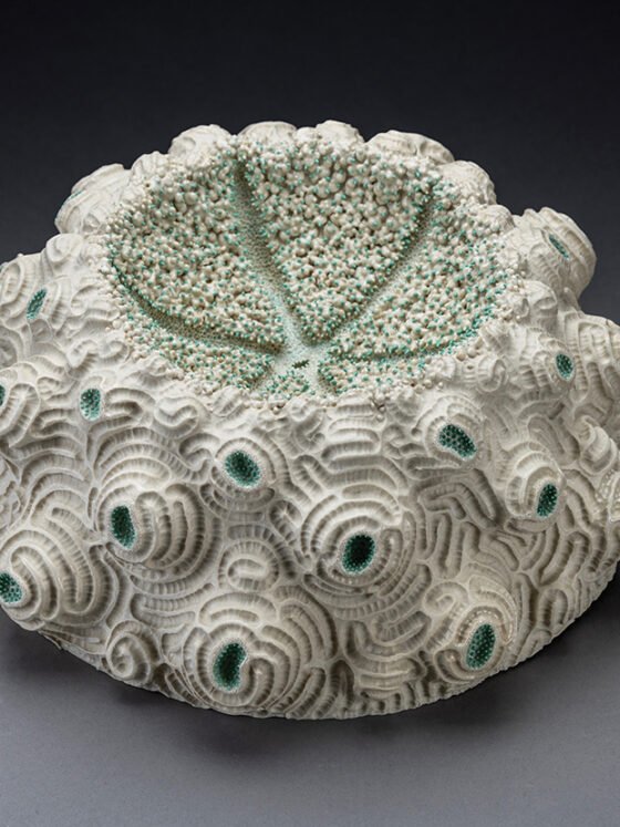 Sculptures Of The Ocean